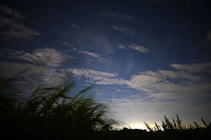 SIGMA（シグマ） 20mm F1.4 DG DN | Art 作例8