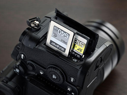 Panasonic LUMIX GH6 × 三井公一 | 静止画も動画もしっかり Panasonic LUMIX GH6 × 三井公一 | 静止画も動画もしっかり
