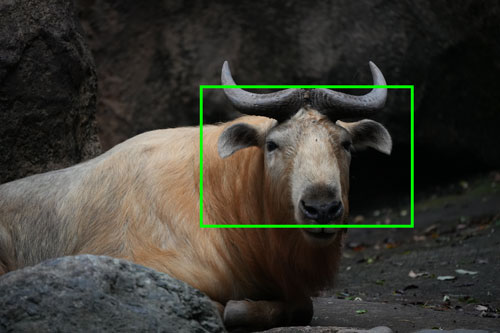 TAMRON（タムロン）50-400mm F/4.5-6.3 Di III VC VXD 解像感作例拡大枠