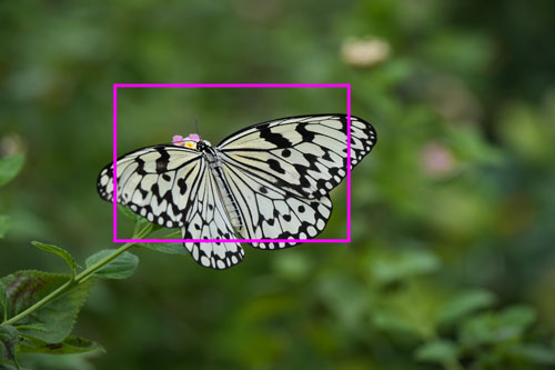 TAMRON（タムロン）50-400mm F/4.5-6.3 Di III VC VXD 近接時解像感作例拡大枠