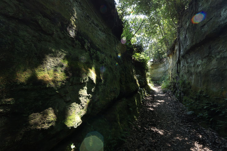 Canon（キヤノン）RF15-30mm F4.5-6.3 IS STM ゴースト発生作例