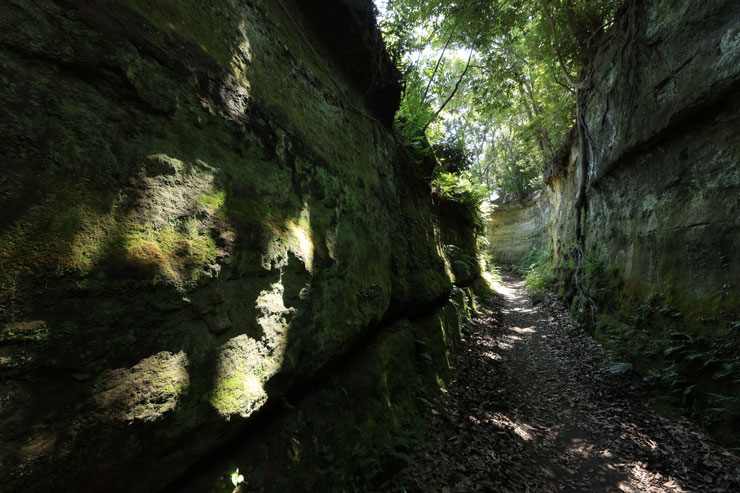 Canon（キヤノン）RF15-30mm F4.5-6.3 IS STM 手でハレ切り作例