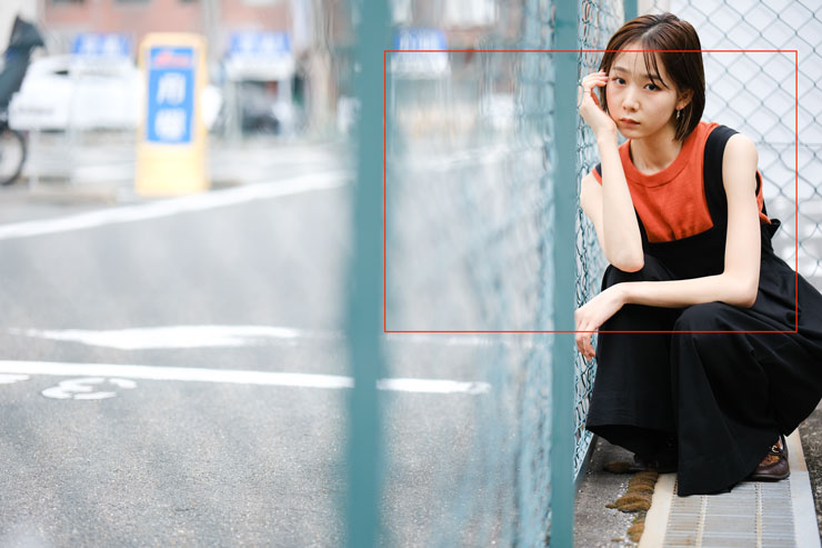 FUJIFILM（富士フイルム）X-H2 作例4元画像キリトリ枠