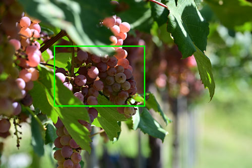 TAMRON（タムロン）70-300mm F/4.5-6.3 Di III RXD A047 ニコンZ用 解像感作例