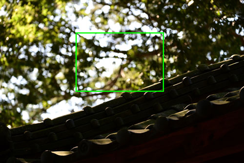 TAMRON（タムロン）70-300mm F/4.5-6.3 Di III RXD A047 ニコンZ用 フリンジ作例