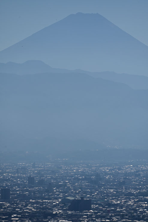 TAMRON（タムロン）70-300mm F/4.5-6.3 Di III RXD A047 ニコンZ用 作例1