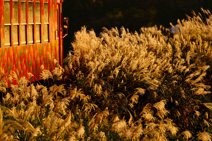 秋色絶景鉄道写真 作例1