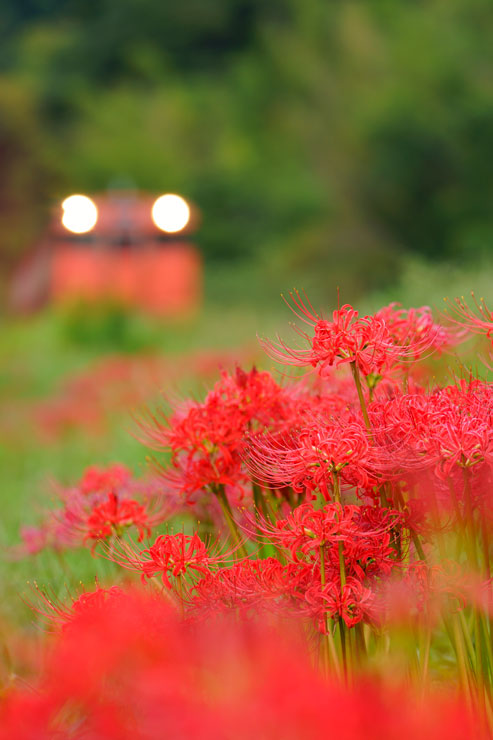 秋色絶景鉄道写真 作例10