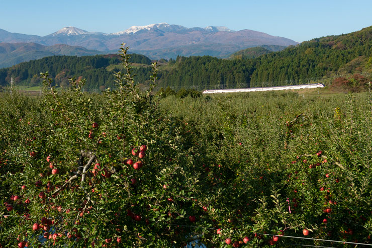 秋色絶景鉄道写真 作例11