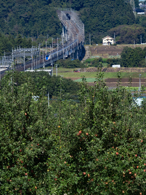 秋色絶景鉄道写真 作例12