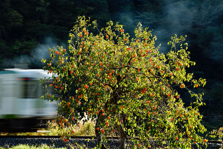 秋色絶景鉄道写真 作例13