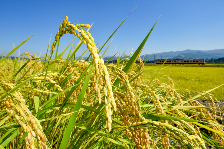 秋色絶景鉄道写真 作例6
