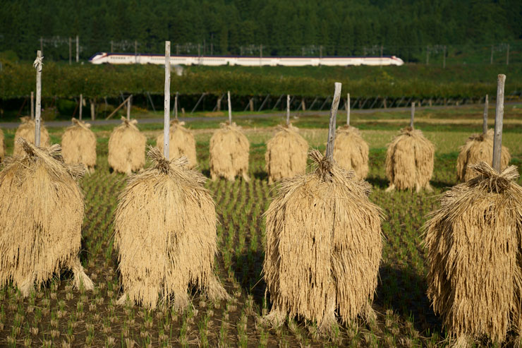 秋色絶景鉄道写真 作例8