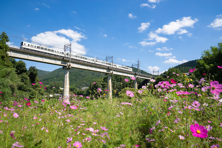 秋色絶景鉄道写真 作例9