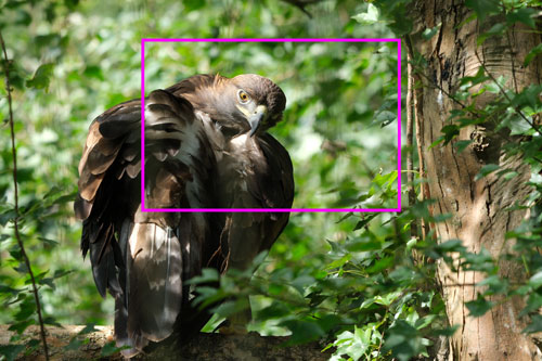 TAMRON（タムロン）150-500mm F/5-6.7 Di III VC VXD FUJIFILM Xマウント用 解像感作例