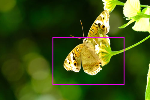 TAMRON（タムロン）150-500mm F/5-6.7 Di III VC VXD FUJIFILM Xマウント用 フリンジ作例