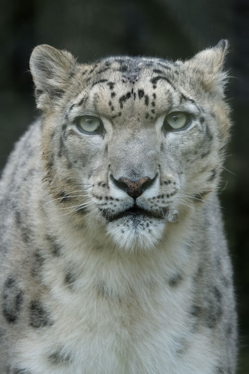 TAMRON（タムロン）150-500mm F/5-6.7 Di III VC VXD FUJIFILM Xマウント用 作例1