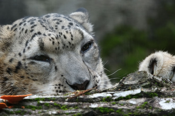 TAMRON（タムロン）150-500mm F/5-6.7 Di III VC VXD FUJIFILM Xマウント用 作例2