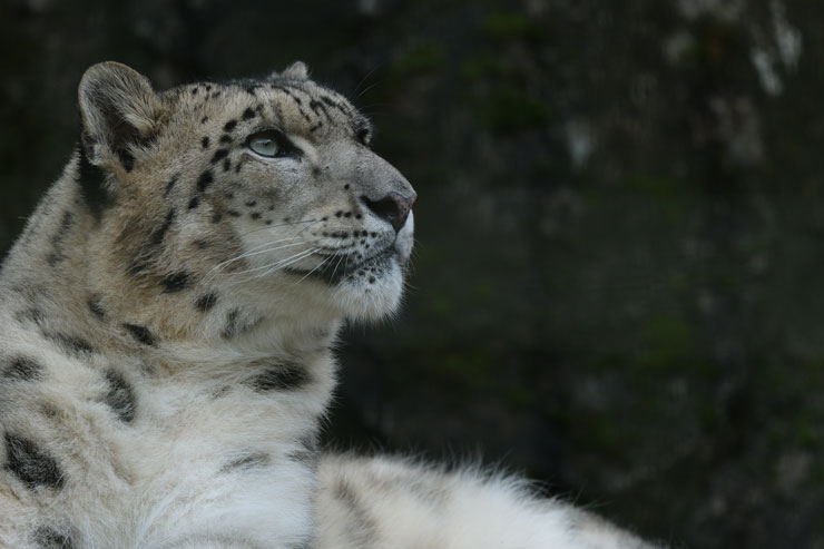 TAMRON（タムロン）150-500mm F/5-6.7 Di III VC VXD FUJIFILM Xマウント用 作例4