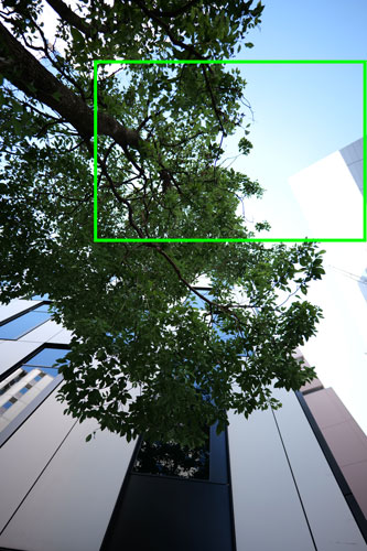 Panasonic（パナソニック）LUMIX S 18mm F1.8 S フリンジ作例