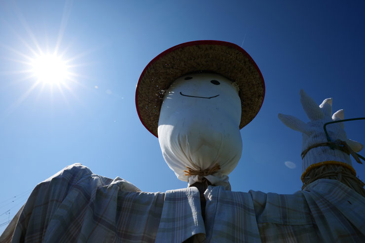 Panasonic（パナソニック）LUMIX S 18mm F1.8 S フレア/ゴースト作例1