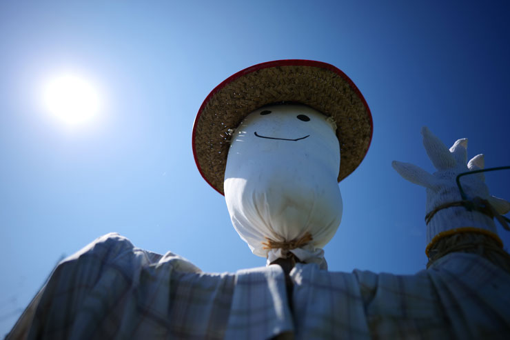 Panasonic（パナソニック）LUMIX S 18mm F1.8 S フレア/ゴースト作例2