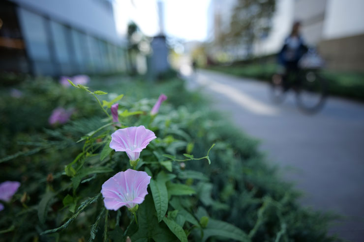 Panasonic（パナソニック）LUMIX S 18mm F1.8 S 作例5
